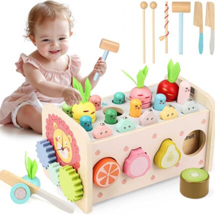 Montessori Spielzeug Kinder 1 Jahre, Baby Holzspielzeug