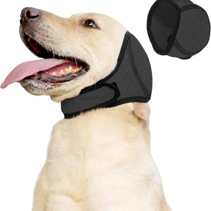 Hundebad-Ohrenschützer – wasserdichte