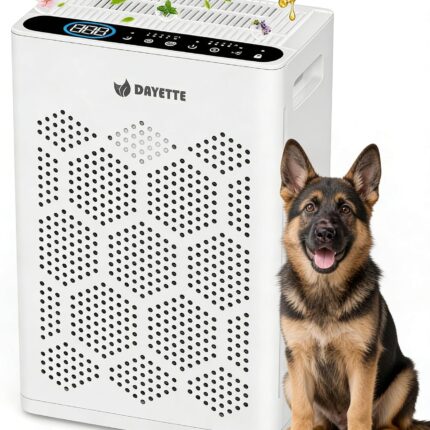Air Purifier for Allergy Sufferers