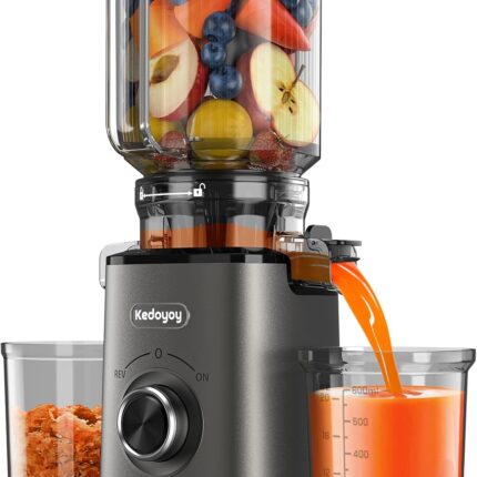 Juicer Vegetable and Fruit Test Winner