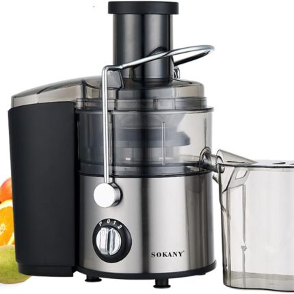 800 W Juicer Vegetable and Fruit